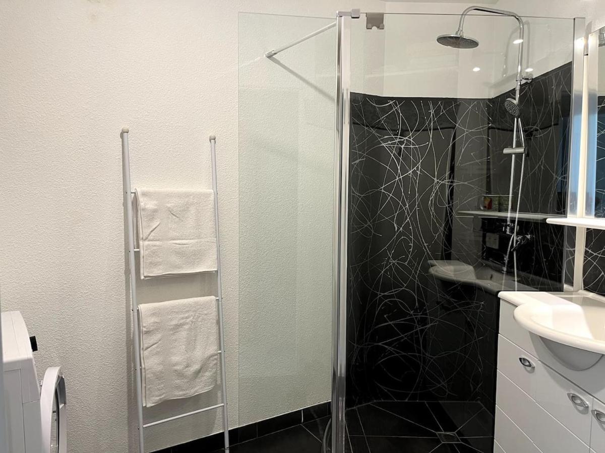 Bel Appartement Climatise Centre Albi Bagian luar foto